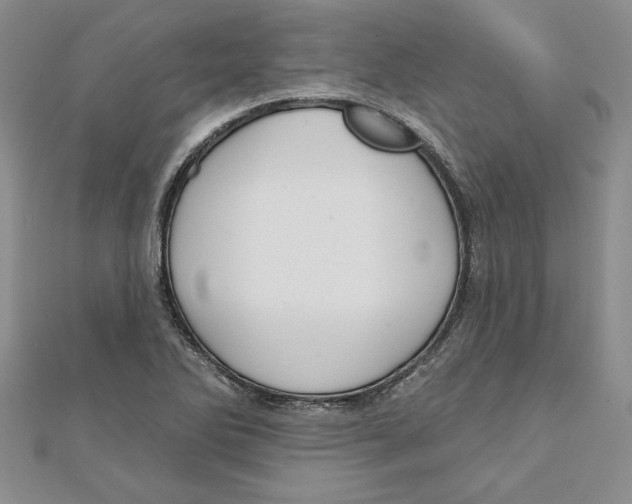 X0000111201270200907291222