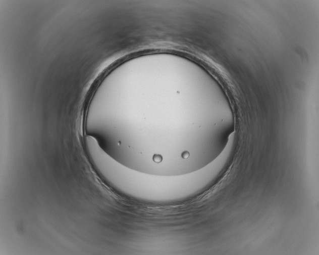 X0000111201272200907291222