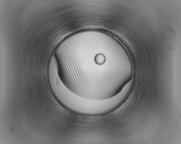 X0000111201273200907291222