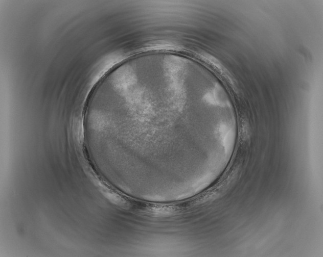 X0000111201274200907291222