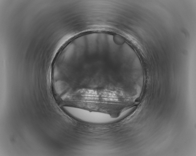 X0000111201275200907291222