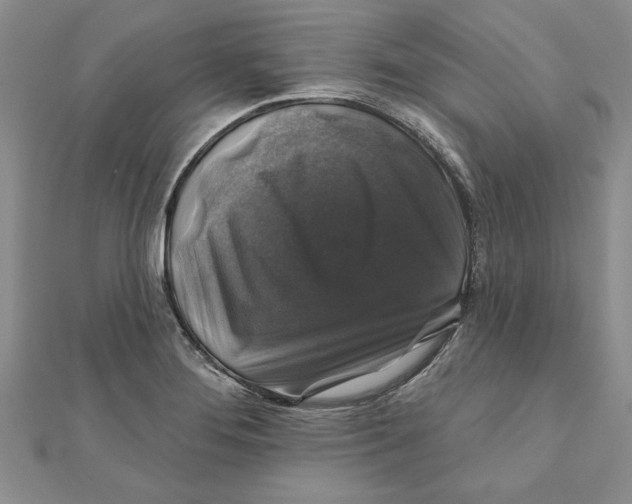 X0000111201276200907291222