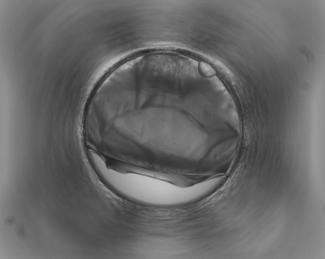 X0000111201279200907291222