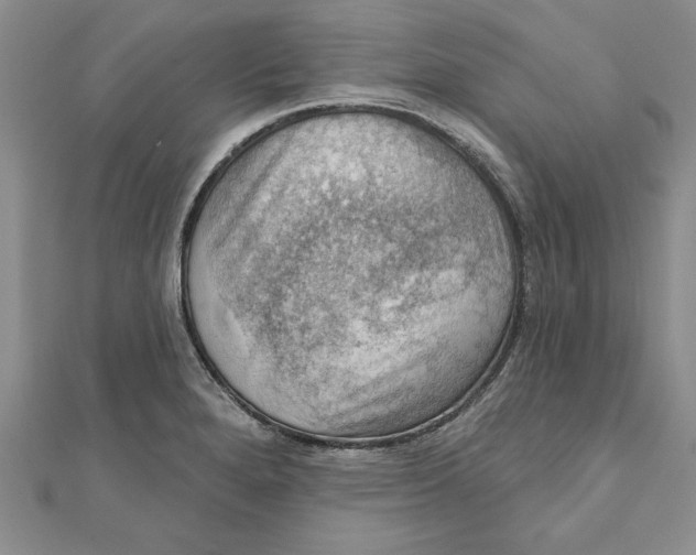 X0000111201280200907291222