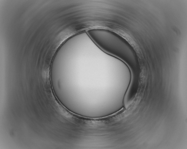 X0000111201281200907291222