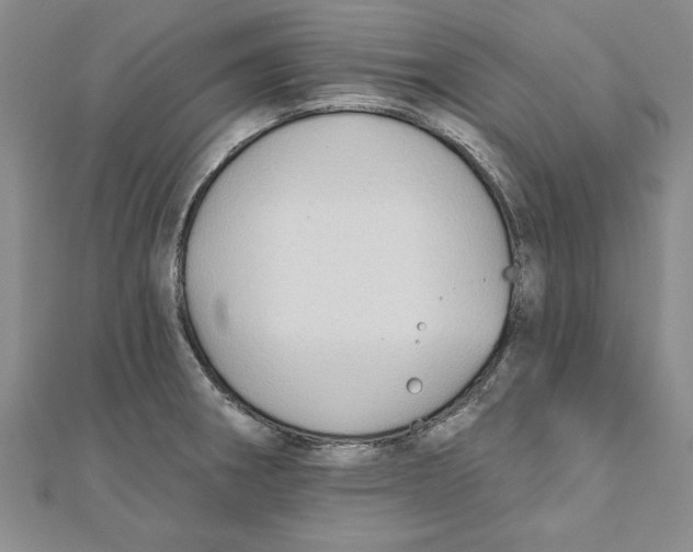 X0000111201282200907291222