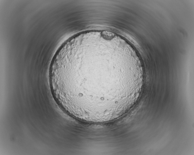 X0000111201283200907291222