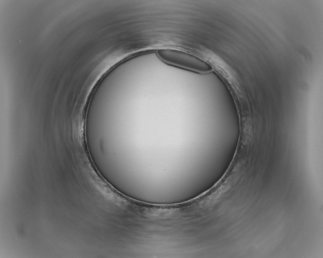 X0000111201284200907291222