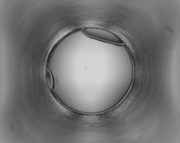 X0000111201285200907291222