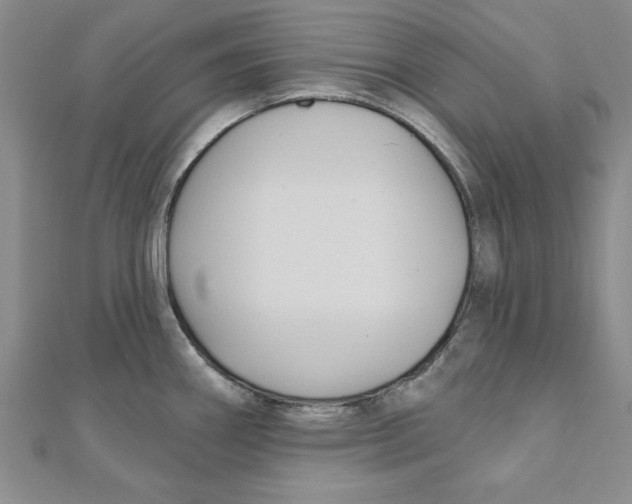 X0000111201290200907291222