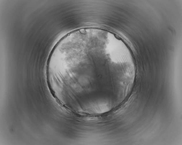 X0000111201291200907291222