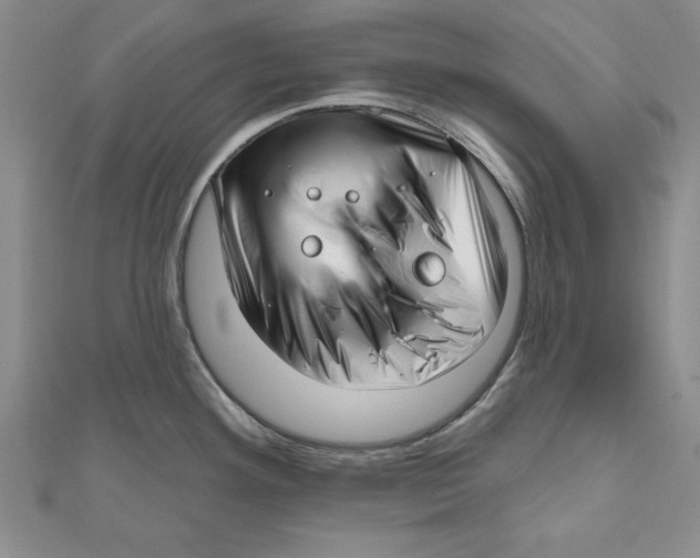 X0000111201292200907291222