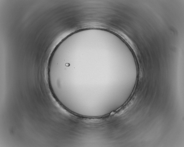 X0000111201293200907291222