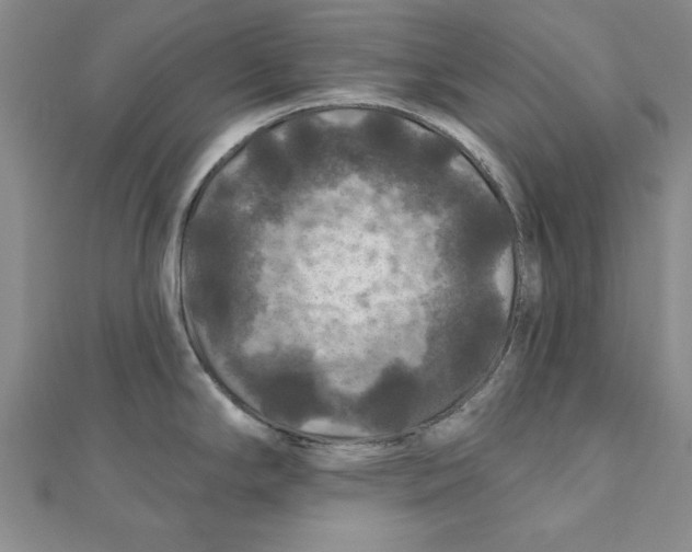 X0000111201294200907291222