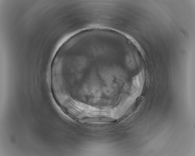 X0000111201295200907291222