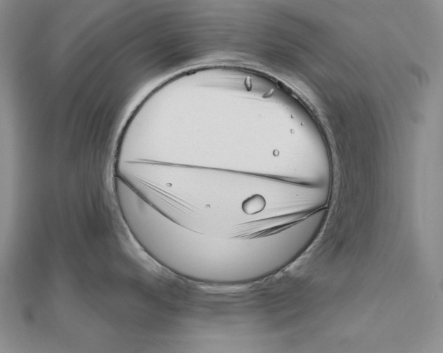 X0000111201296200907291222