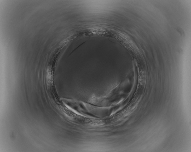 X0000111201298200907291221