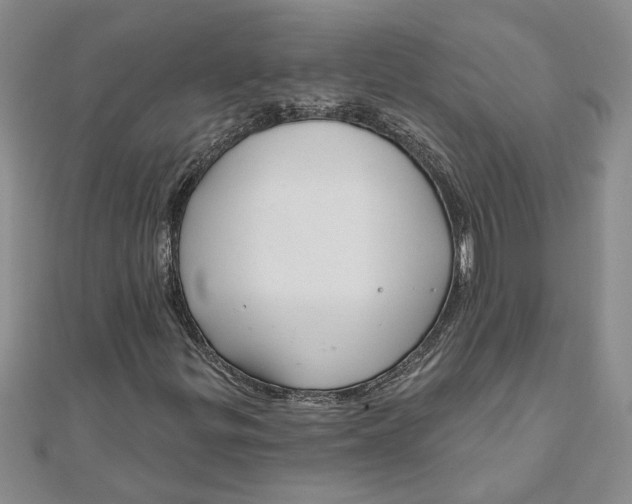 X0000111201299200907291221