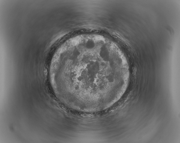 X0000111201302200907291221