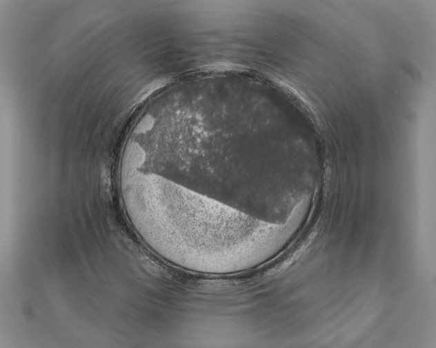 X0000111201305200907291221