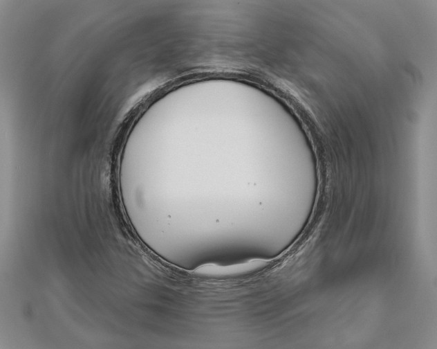 X0000111201307200907291221