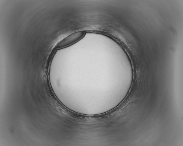 X0000111201308200907291221