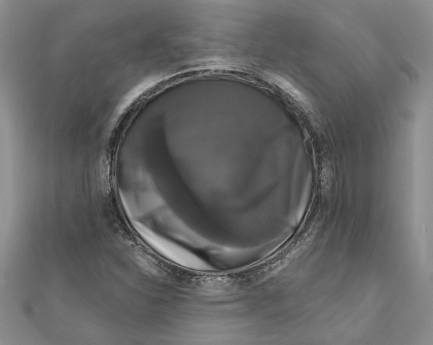 X0000111201310200907291221