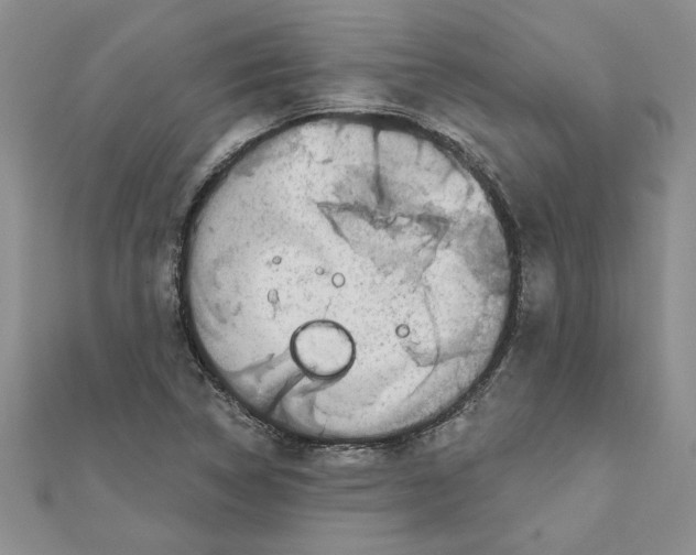 X0000111201314200907291221