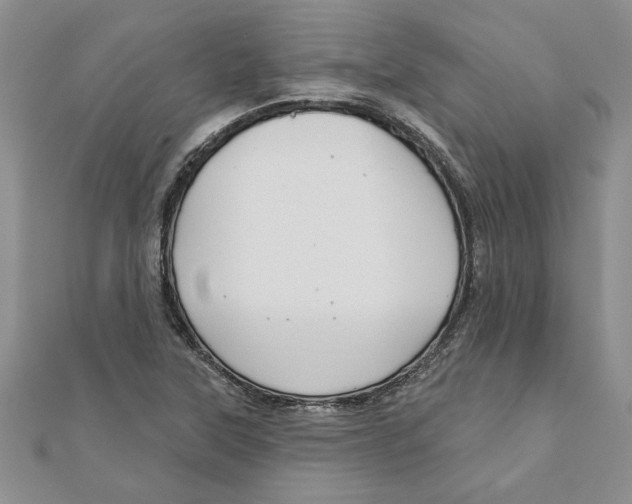 X0000111201315200907291222