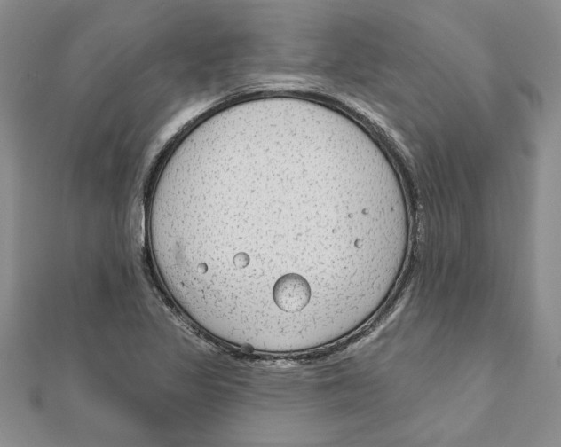 X0000111201317200907291222