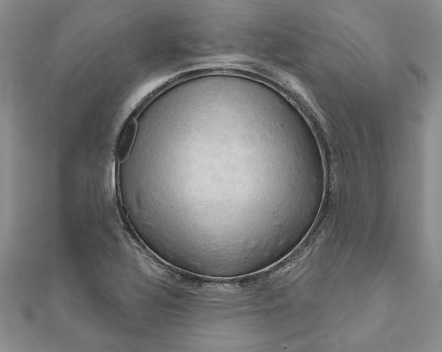 X0000111201320200907291222