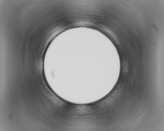 X0000111201322200907291222