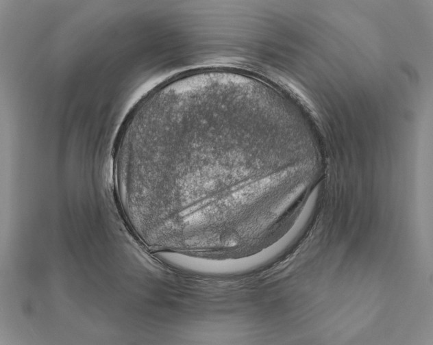 X0000111201324200907291222