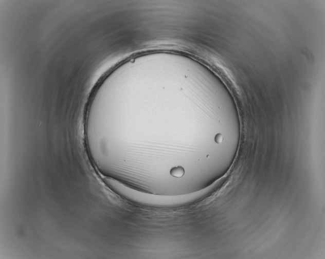 X0000111201328200907291222