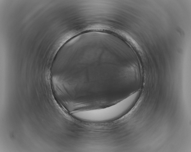 X0000111201329200907291222