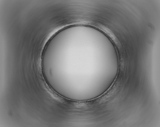 X0000111201332200907291222