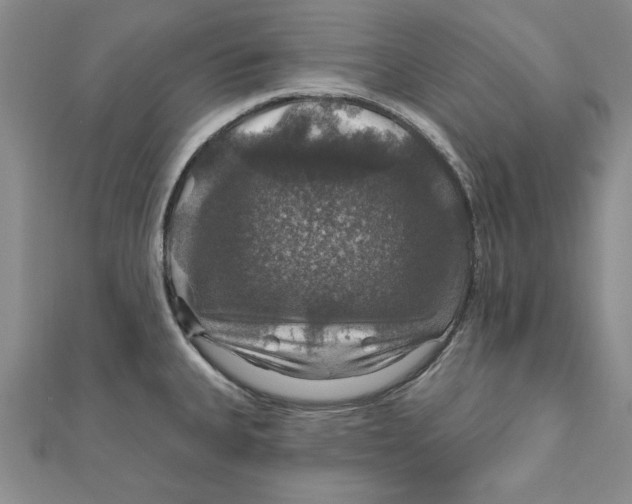 X0000111201335200907291222