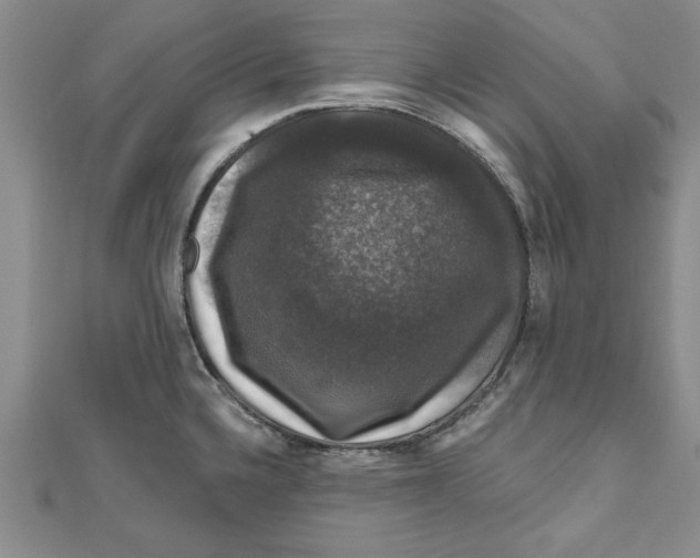 X0000111201336200907291222