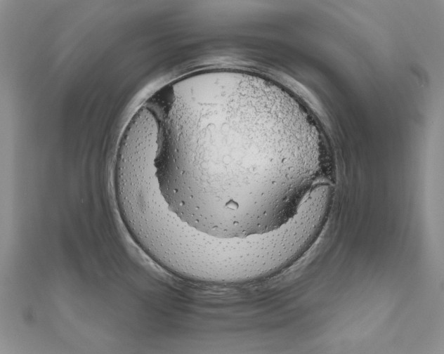 X0000111201338200907291222