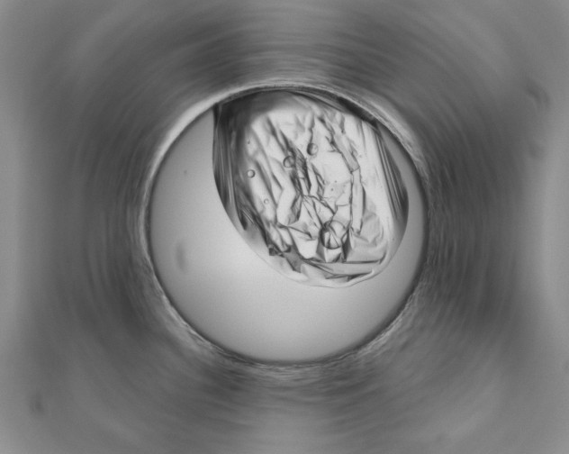 X0000111201340200907291222