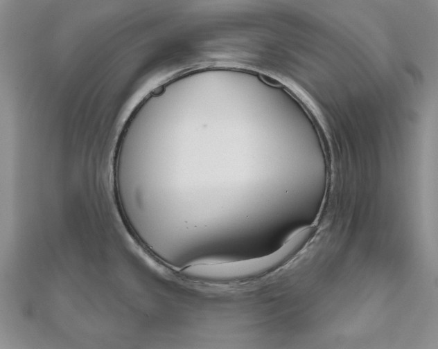 X0000111201341200907291222