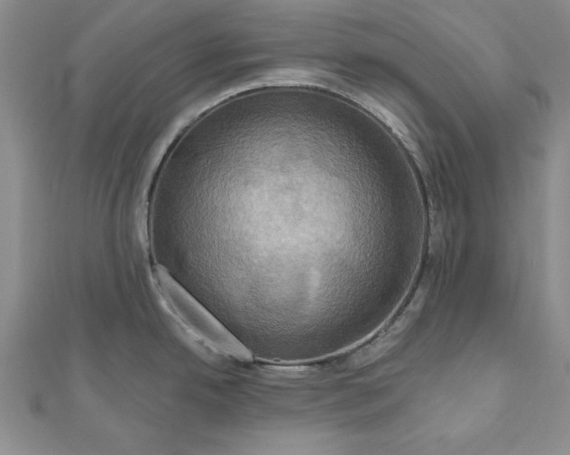 X0000111201342200907291222