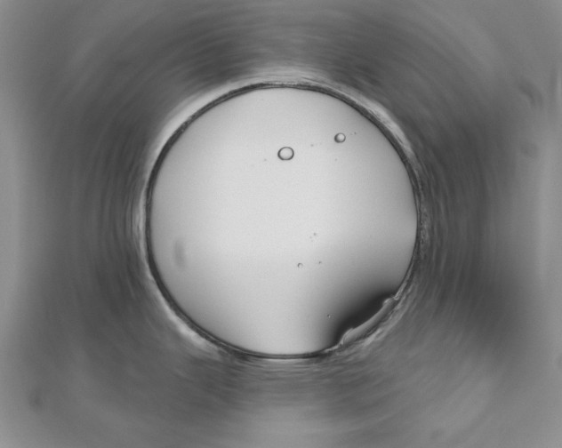 X0000111201343200907291222