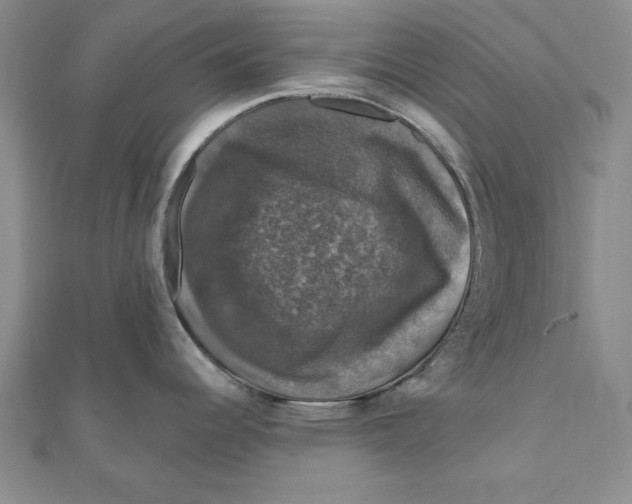 X0000111201344200907291222