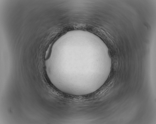 X0000111201345200907291221