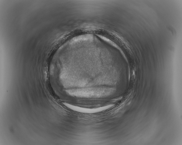 X0000111201348200907291221