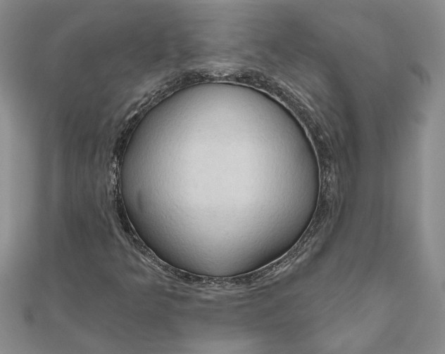 X0000111201349200907291221