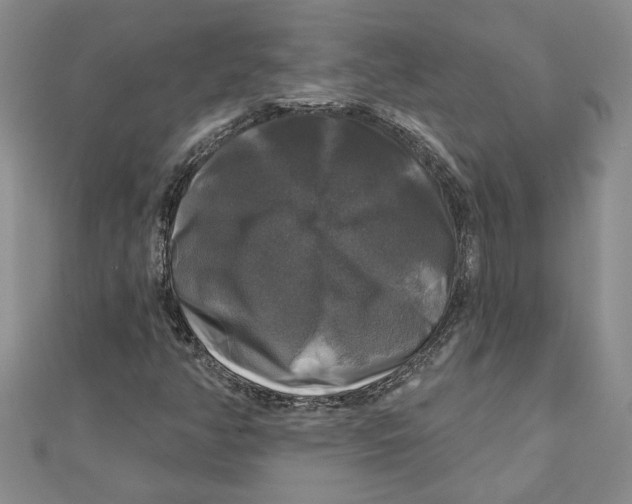 X0000111201350200907291221