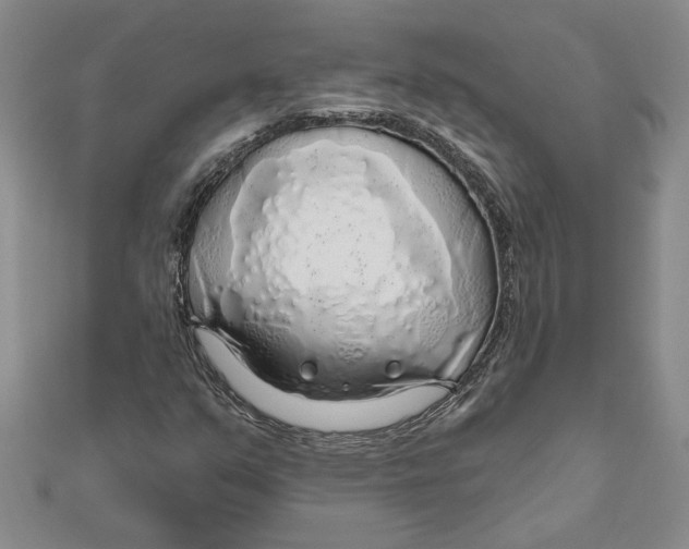 X0000111201351200907291221