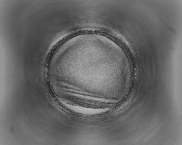 X0000111201352200907291221